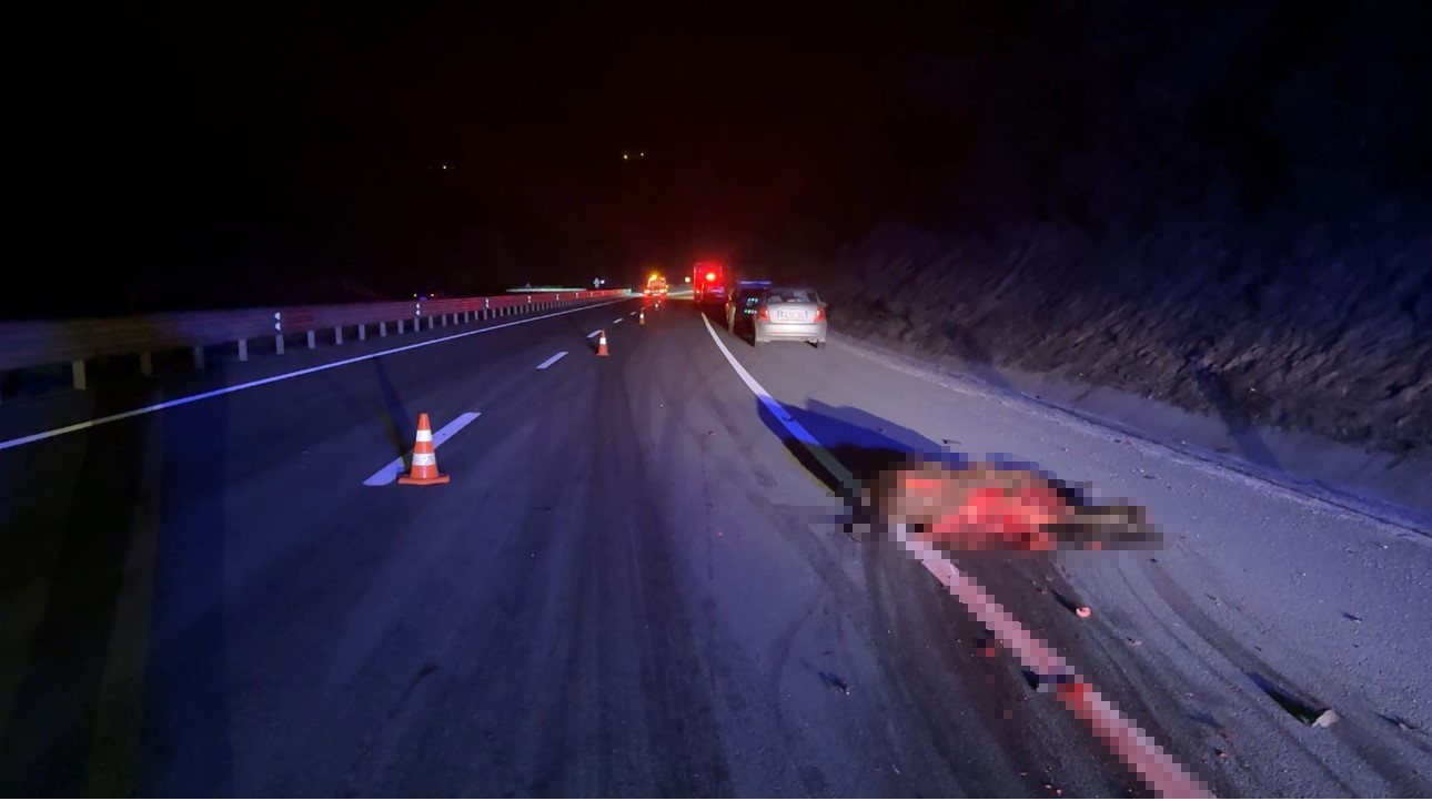 Otomobil kara yoluna çıkan ata çarptı: 3 yaralı
