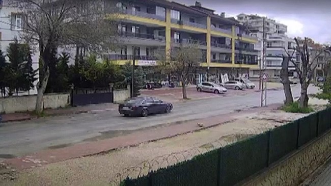 Otomobilin çarpmasıyla ölen kedinin yavrusu başından ayrılmadı
