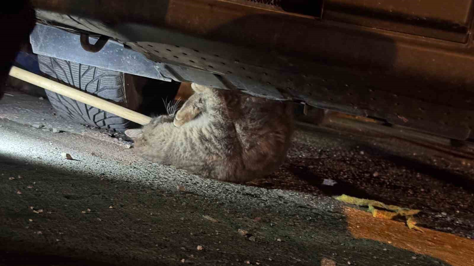 Otomobilin motoruna sıkışan kedi için seferber oldular
