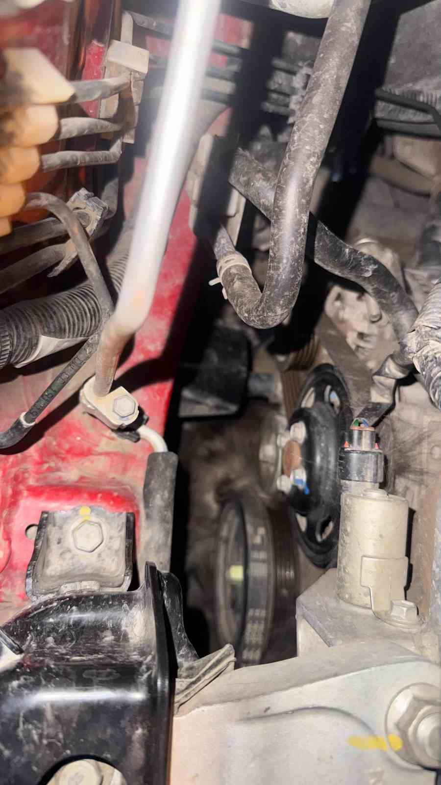 Otomobilin motoruna sıkışan kedi için seferber oldular

