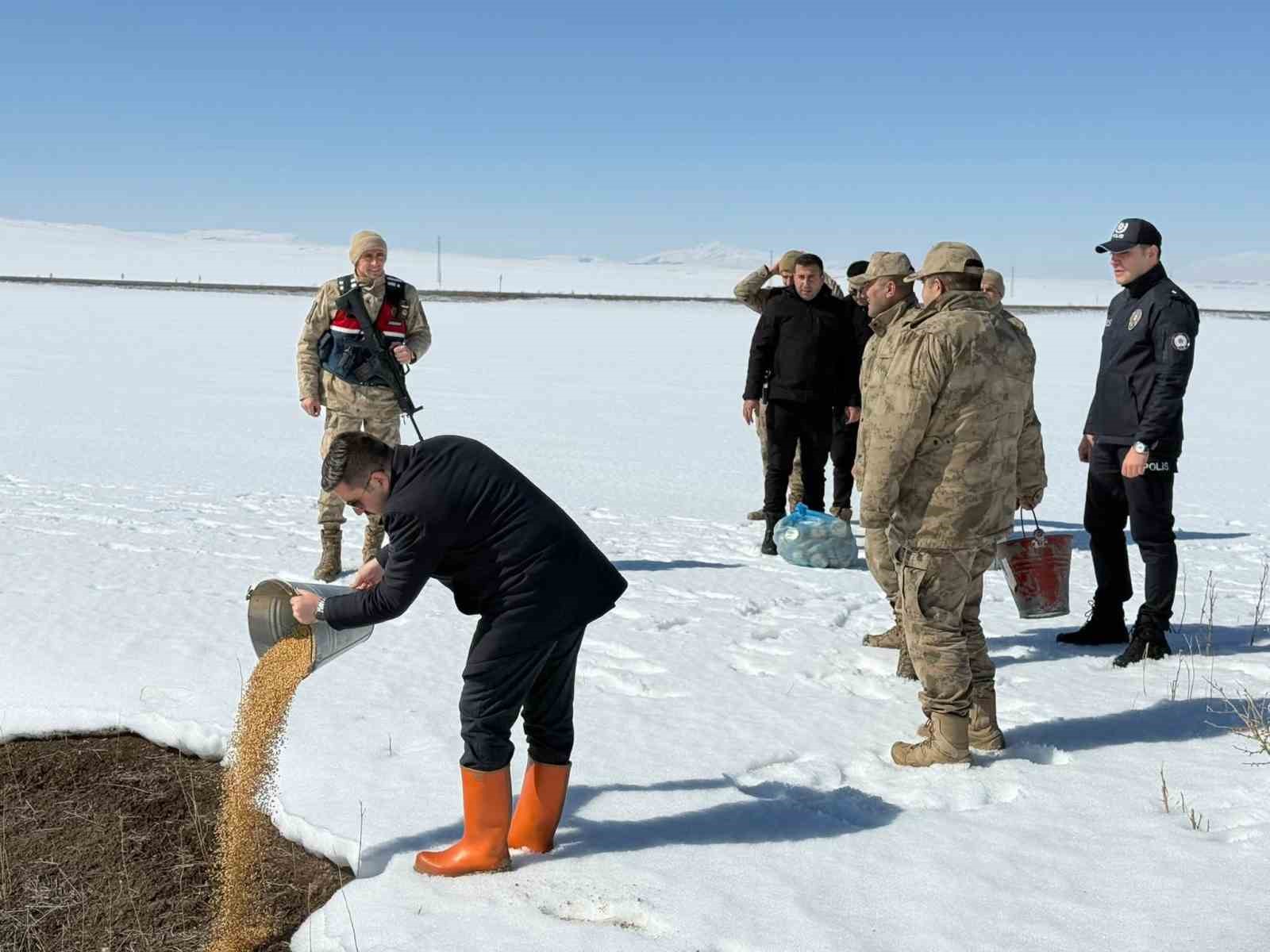 Özalp ilçesinde doğaya yem bırakıldı
