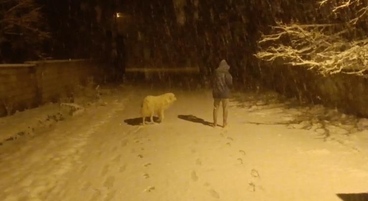 Özalp’ta nisan karı etkili oldu
