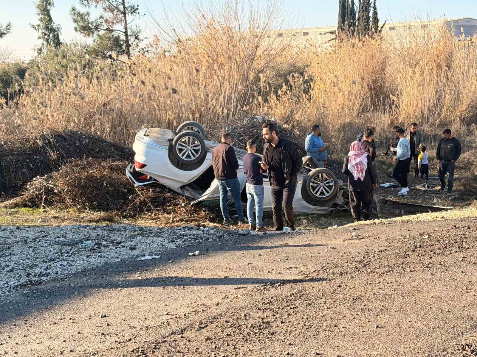 Pamuk sapları sürücünün hayatını kurtardı
