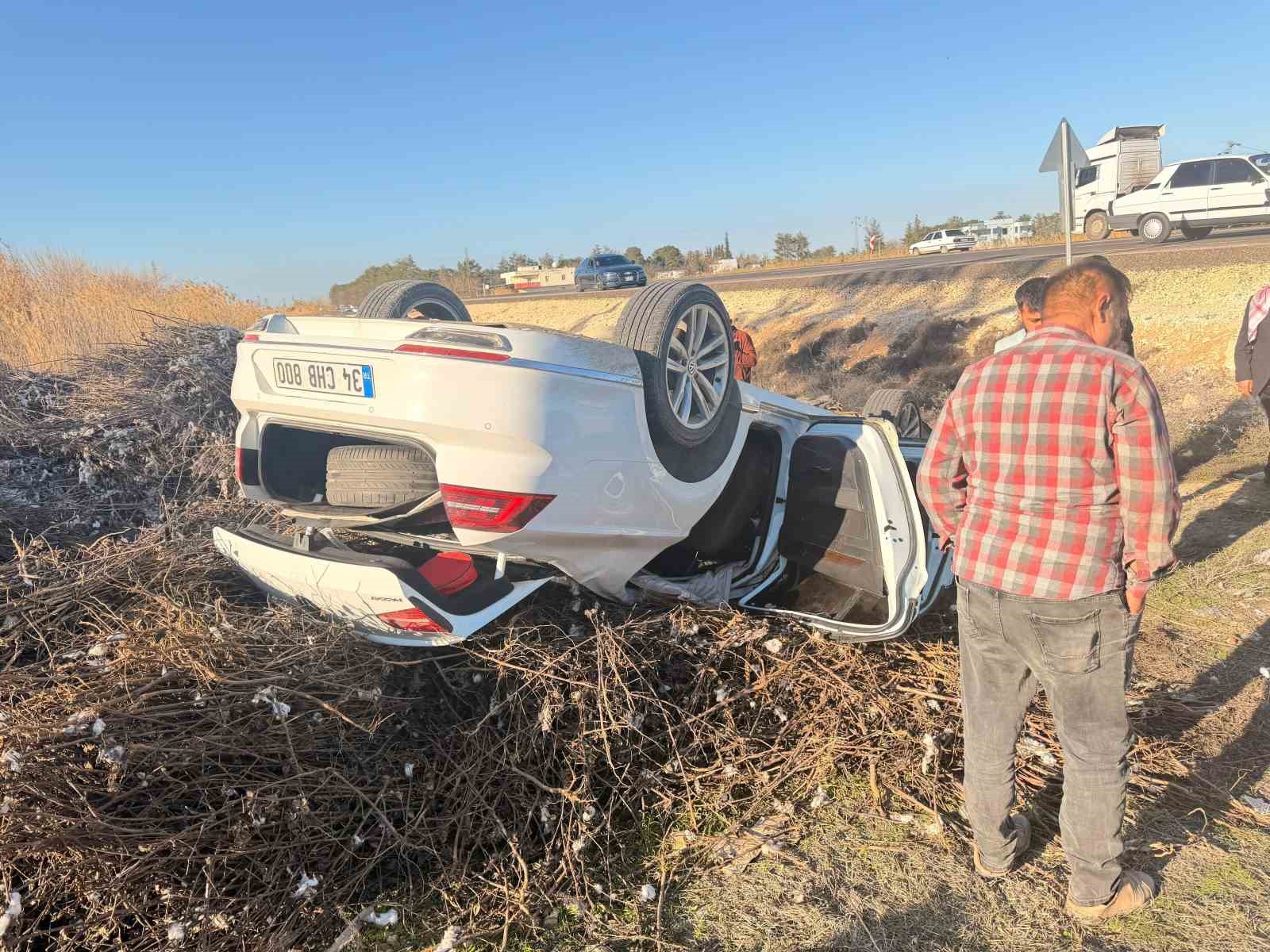 Pamuk sapları sürücünün hayatını kurtardı
