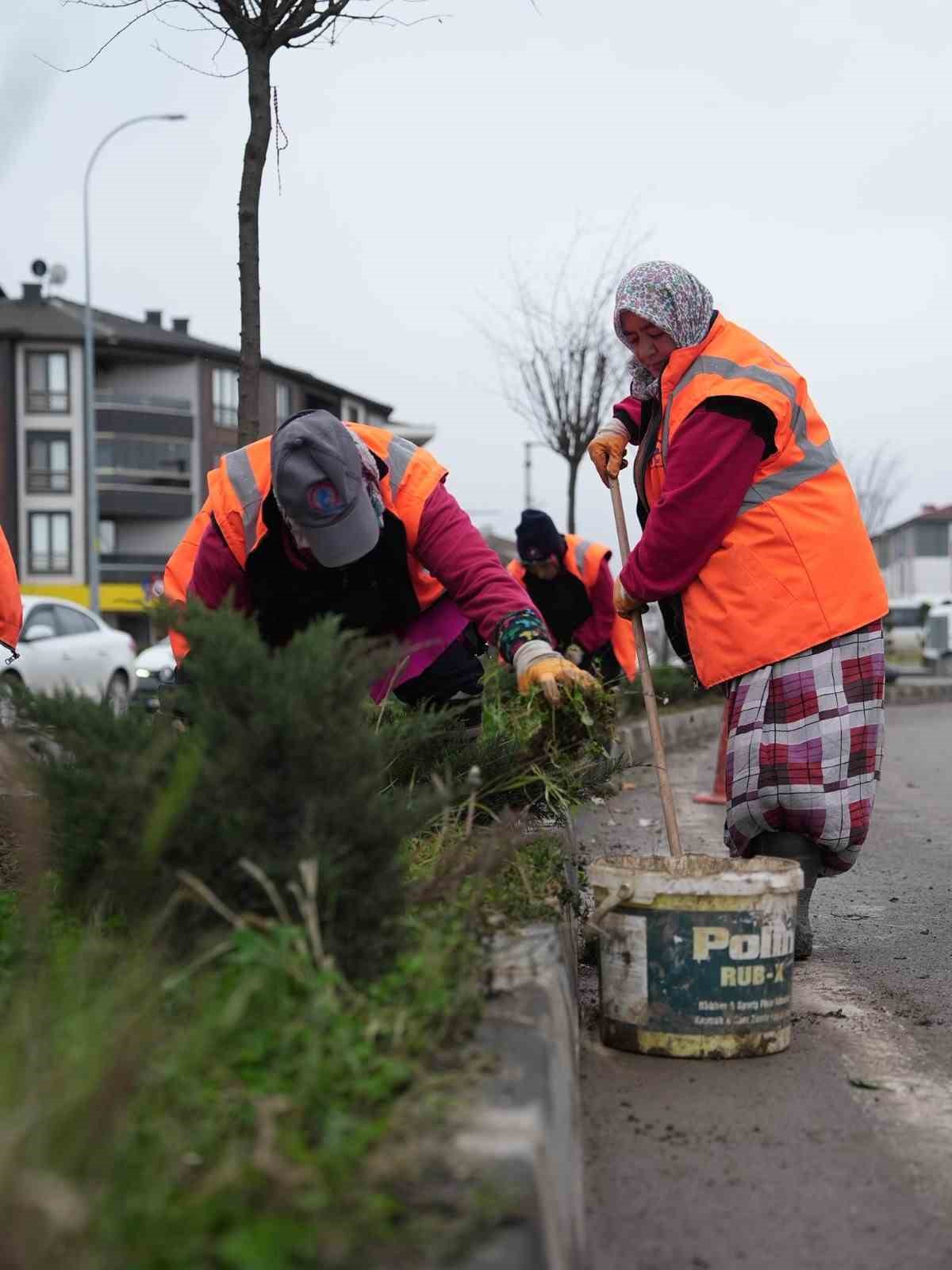Park ve yeşil alanlarda peyzaj çalışmaları sürüyor
