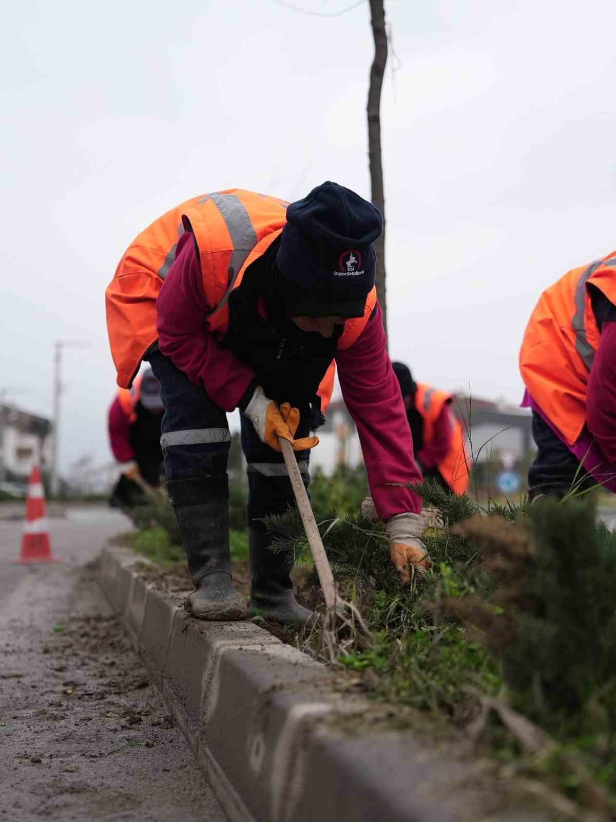 Park ve yeşil alanlarda peyzaj çalışmaları sürüyor
