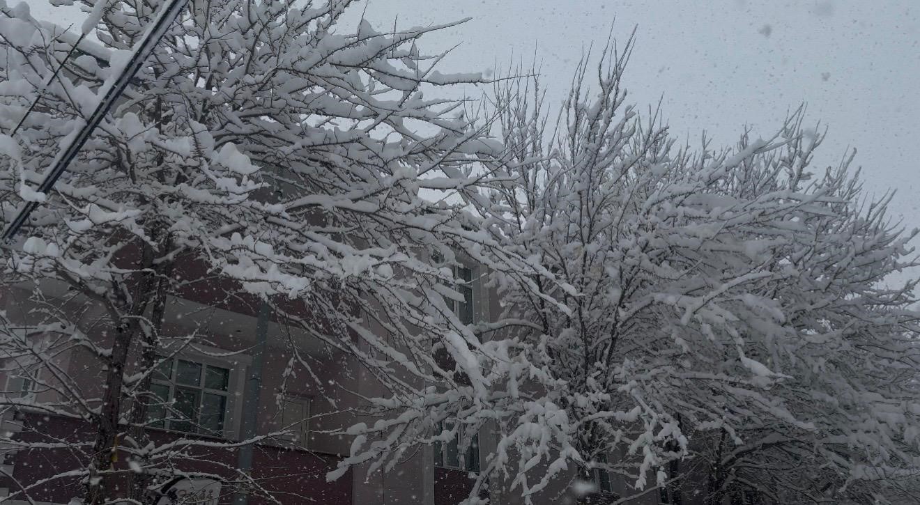 Patnos’ta baharı beklerken 40 santimetre kar yağdı
