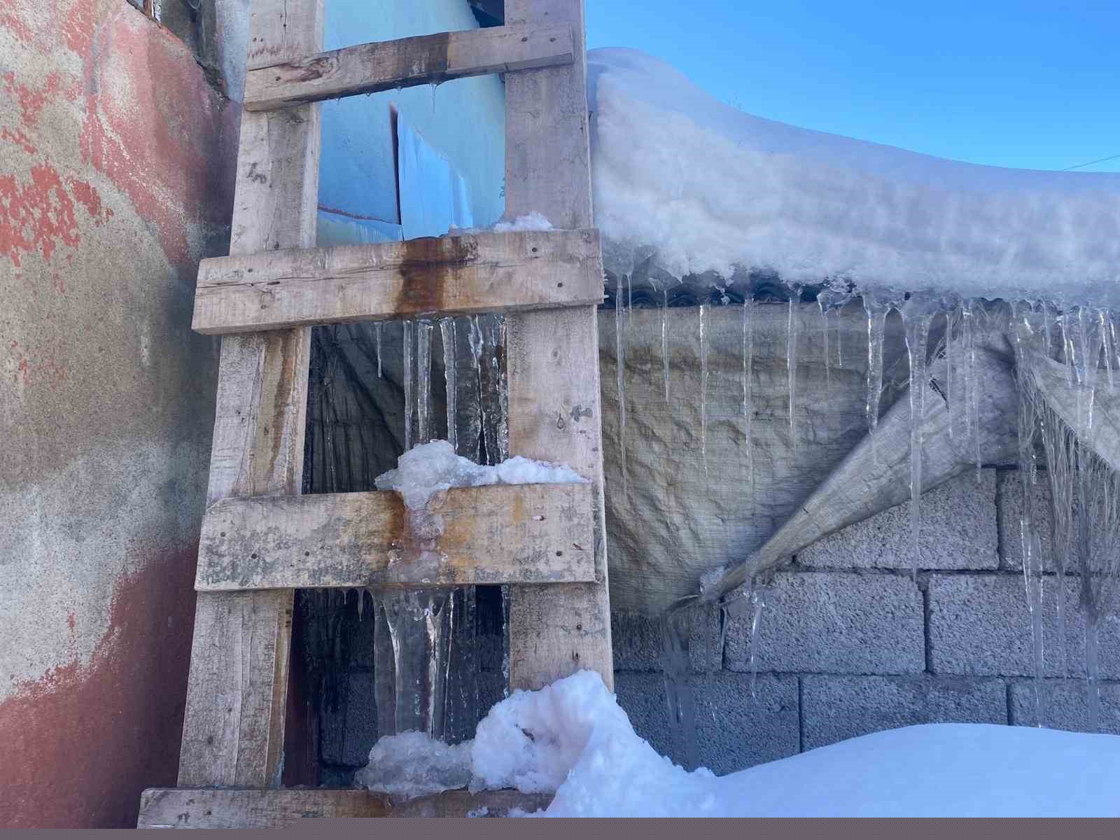 Patnos’ta kar yağışının ardından don etkili oldu
