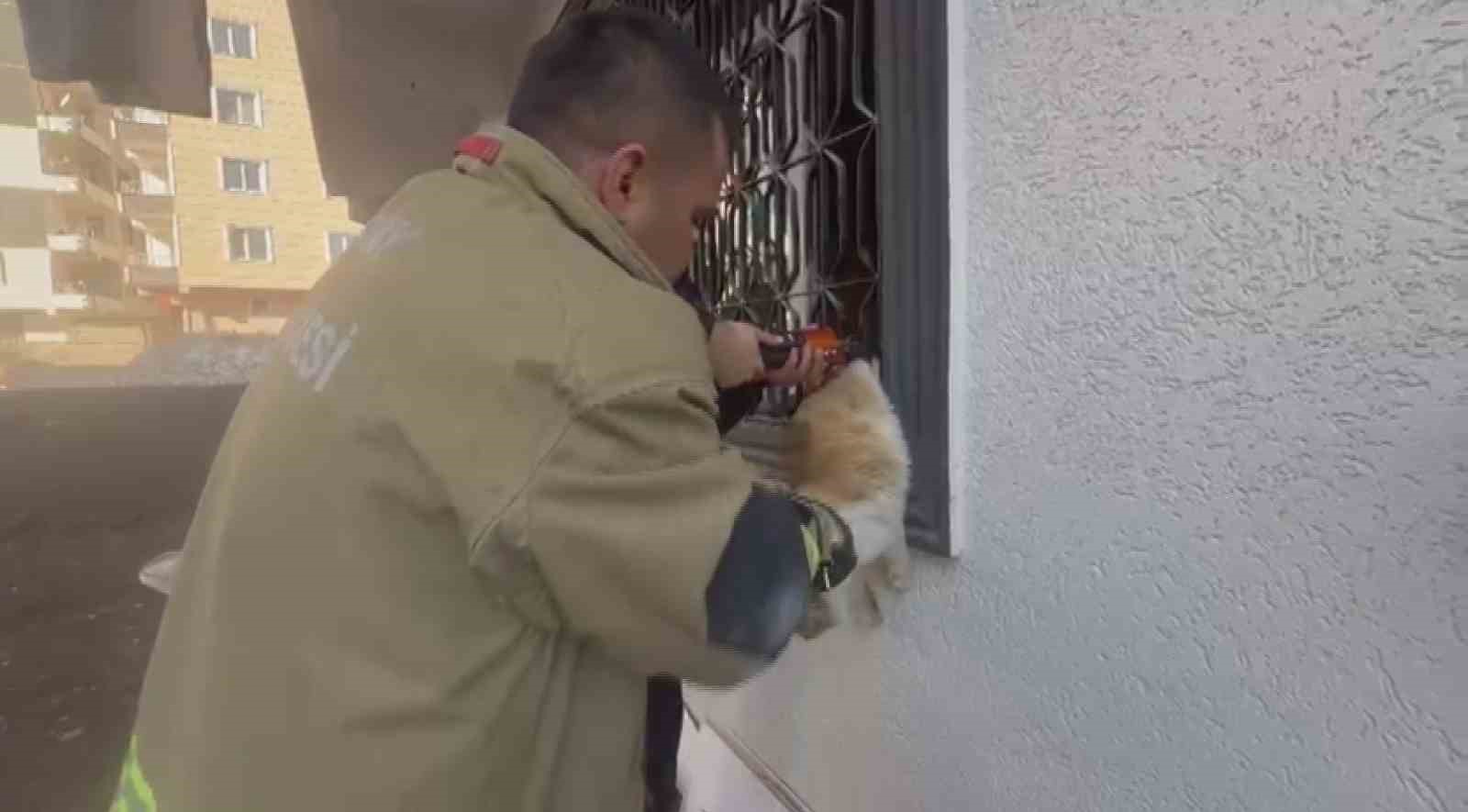 Pencere korkuluğunu sıkışan kediyi itfaiye kurtardı
