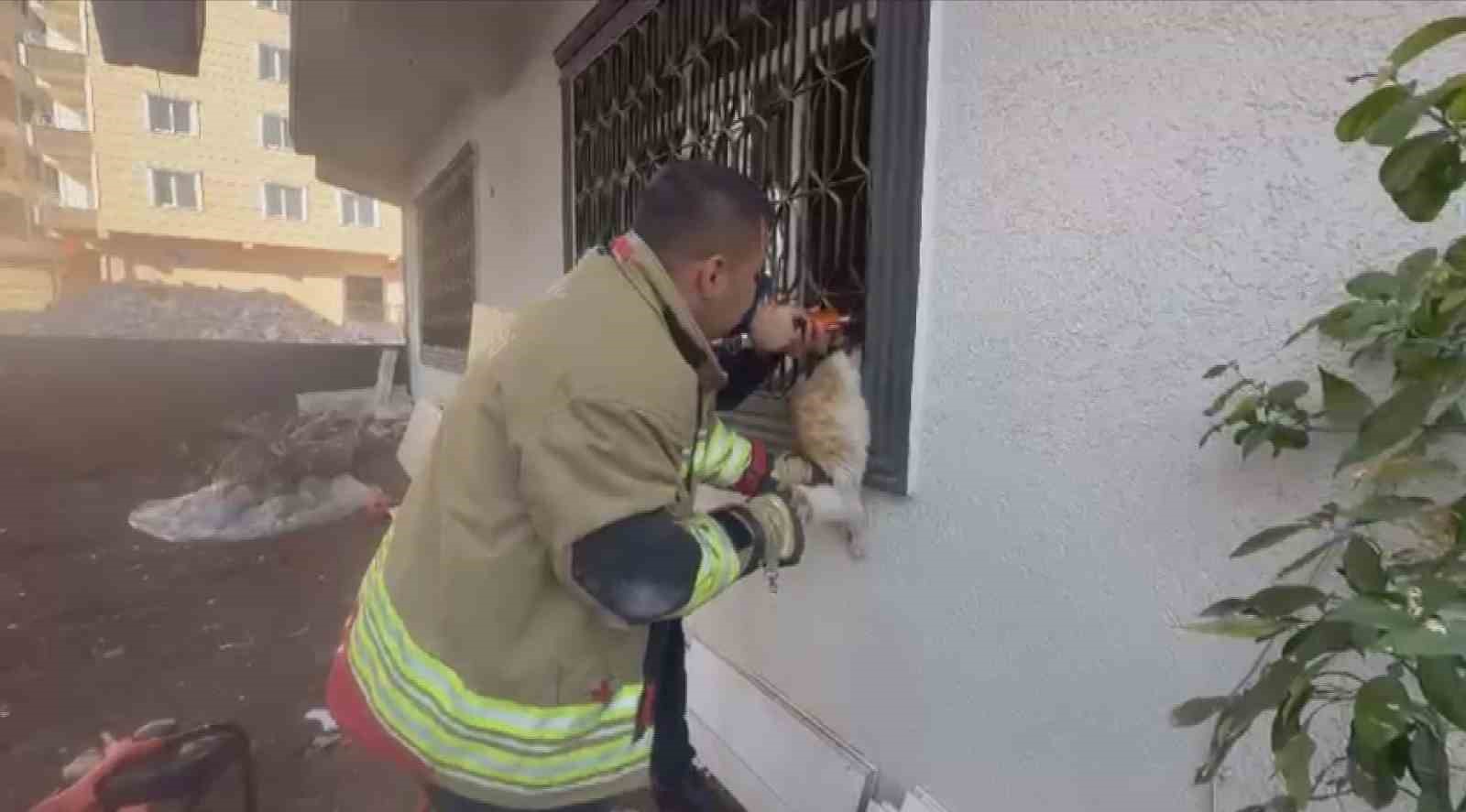 Pencere korkuluğunu sıkışan kediyi itfaiye kurtardı
