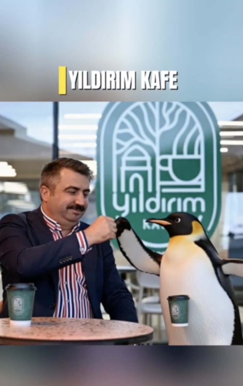Penguen sürüden ayrılırken belediyeler boş durmadı
