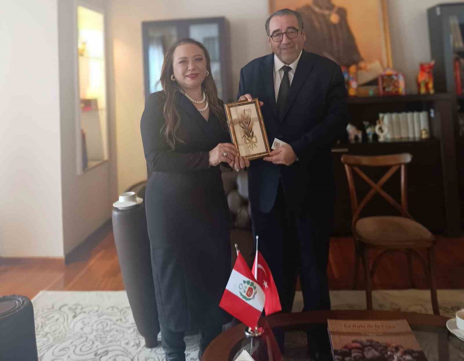Peru ile Türkiye arasında sağlık turizmi, tarım ve ticaret alanlarında iş birliği görüşmesi
