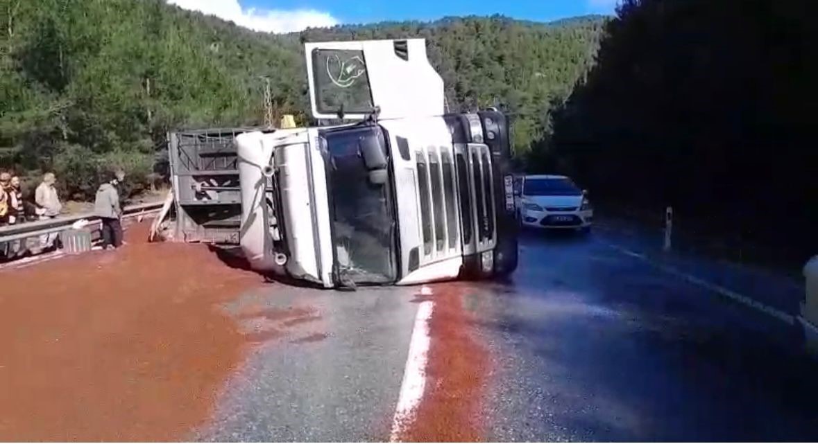 Peyzaj malzemesi yüklü tır devrildi
