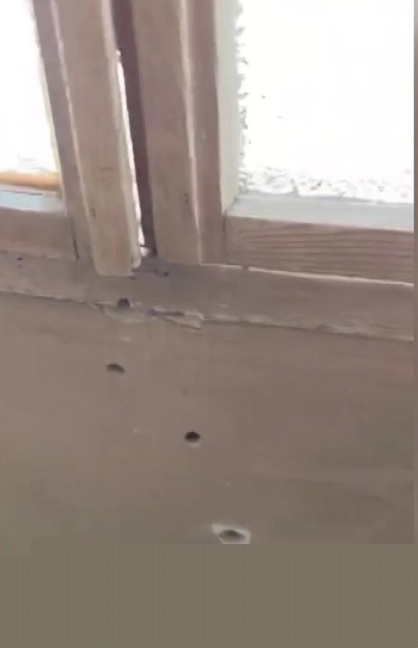 "Polisiz" diyerek eve giren şüpheliler anne ile oğlunu vurdu
