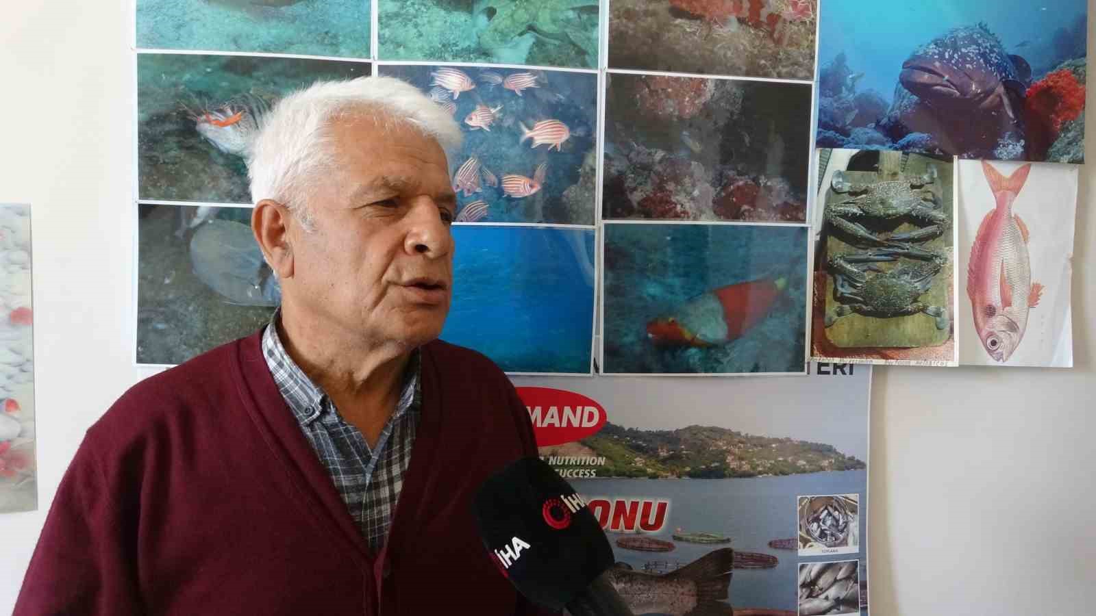 Poyraz, Akdeniz’deki en büyük denizanası türünü Antalya Körfezi’ne soktu
Poyraz, Akdeniz’deki en büyük denizanası türünü Antalya Körfezi’ne soktu