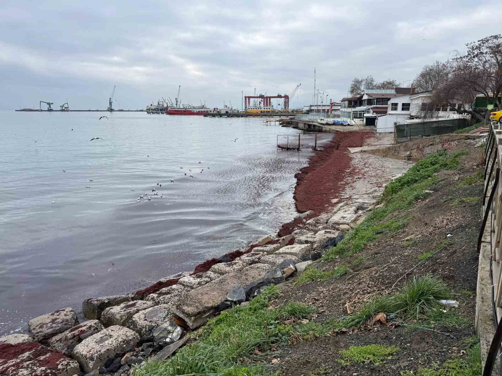 Poyraz sahili kırmızıya boyadı
