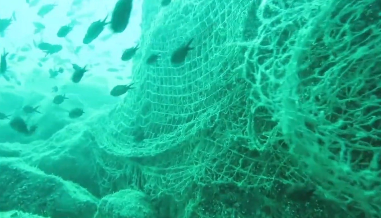Prof. Dr. Coşkun Erüz: "Karadeniz’in doğal ekosistemini ve biyoçeşitliliğini korumak için hayalet ağları temizlemek gerekli"

