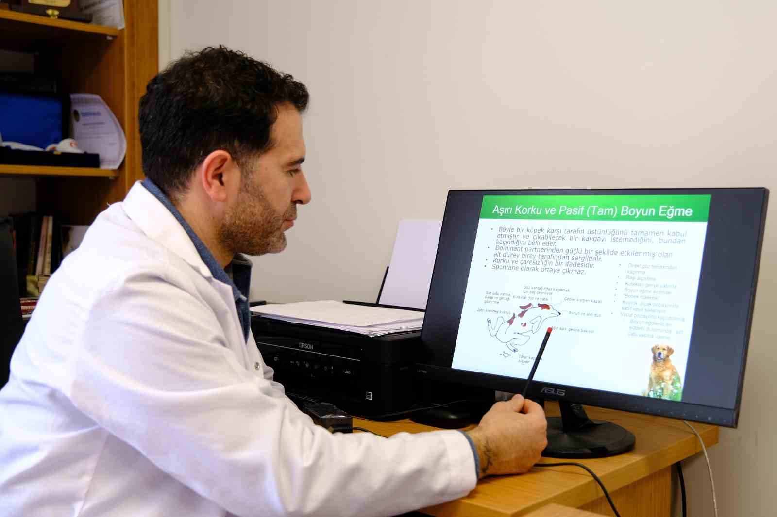 Prof. Dr. Koçkaya: "Sokak hayvanlarına karşı sorumluluklarımız var"
Prof. Dr. Koçkaya: "Sokak hayvanlarına karşı sorumluluklarımız var"