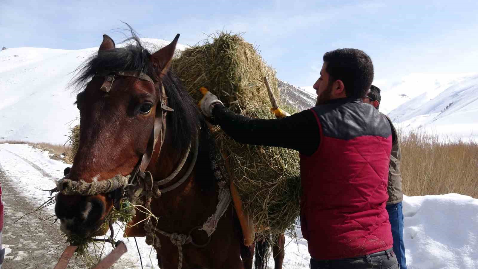 Prof. Dr. Lokman Aslan: "Yaban hayvanlarına yiyecek bırakmak ekolojik dengeyi bozuyor"
Prof. Dr. Lokman Aslan: "Yaban hayvanlarına yiyecek bırakmak ekolojik dengeyi bozuyor"