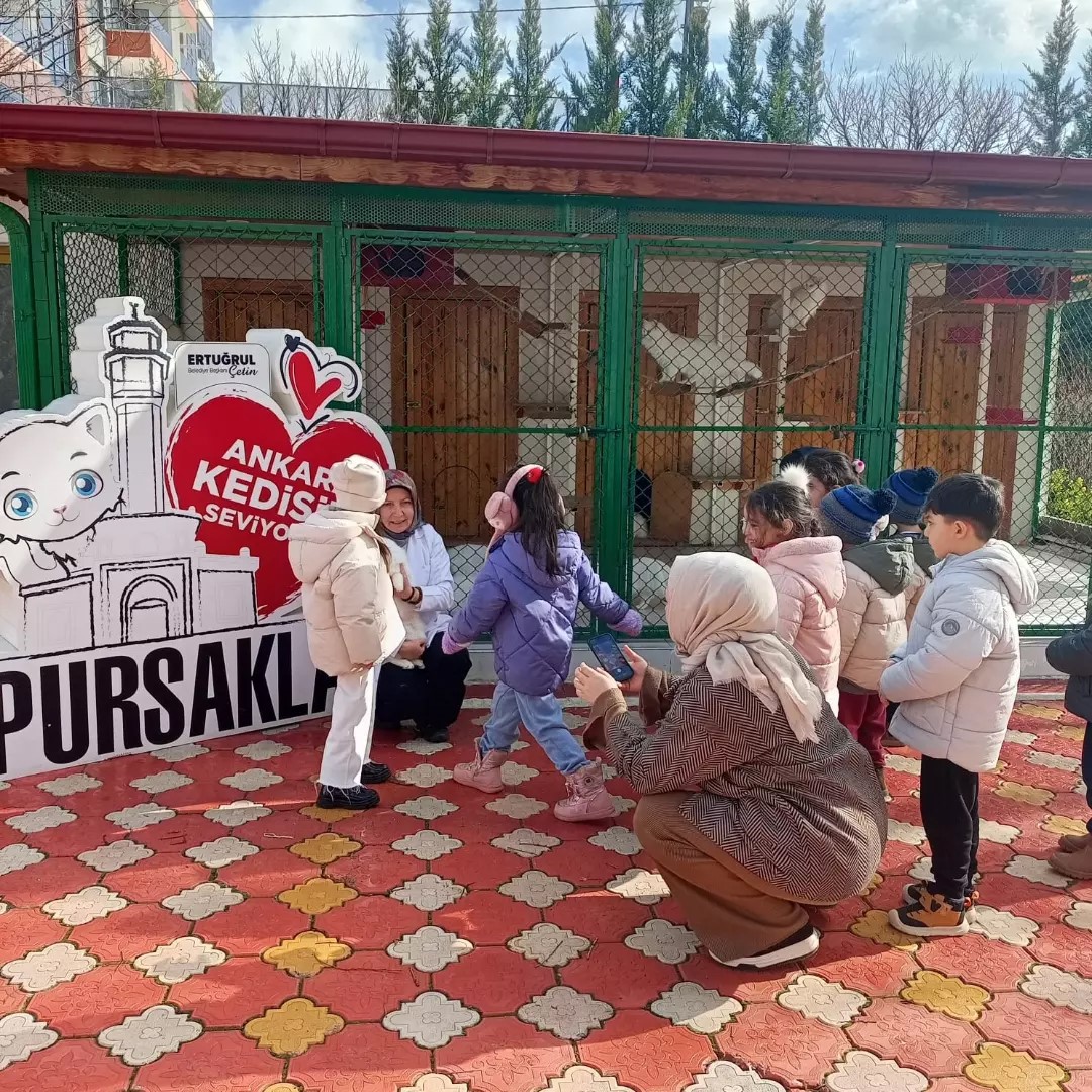Pursaklar’da öğrencilerden kedi evine ziyaret
