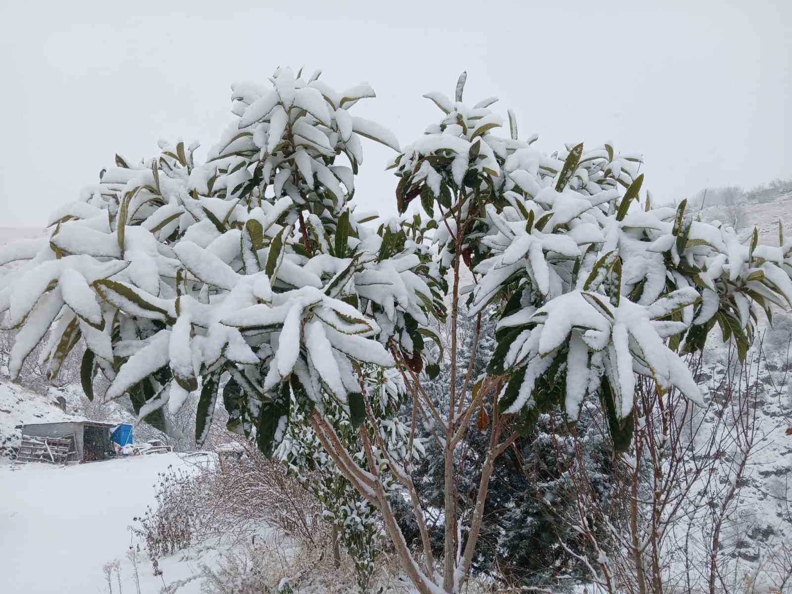 Pütürge’de kartpostallık görüntüler
