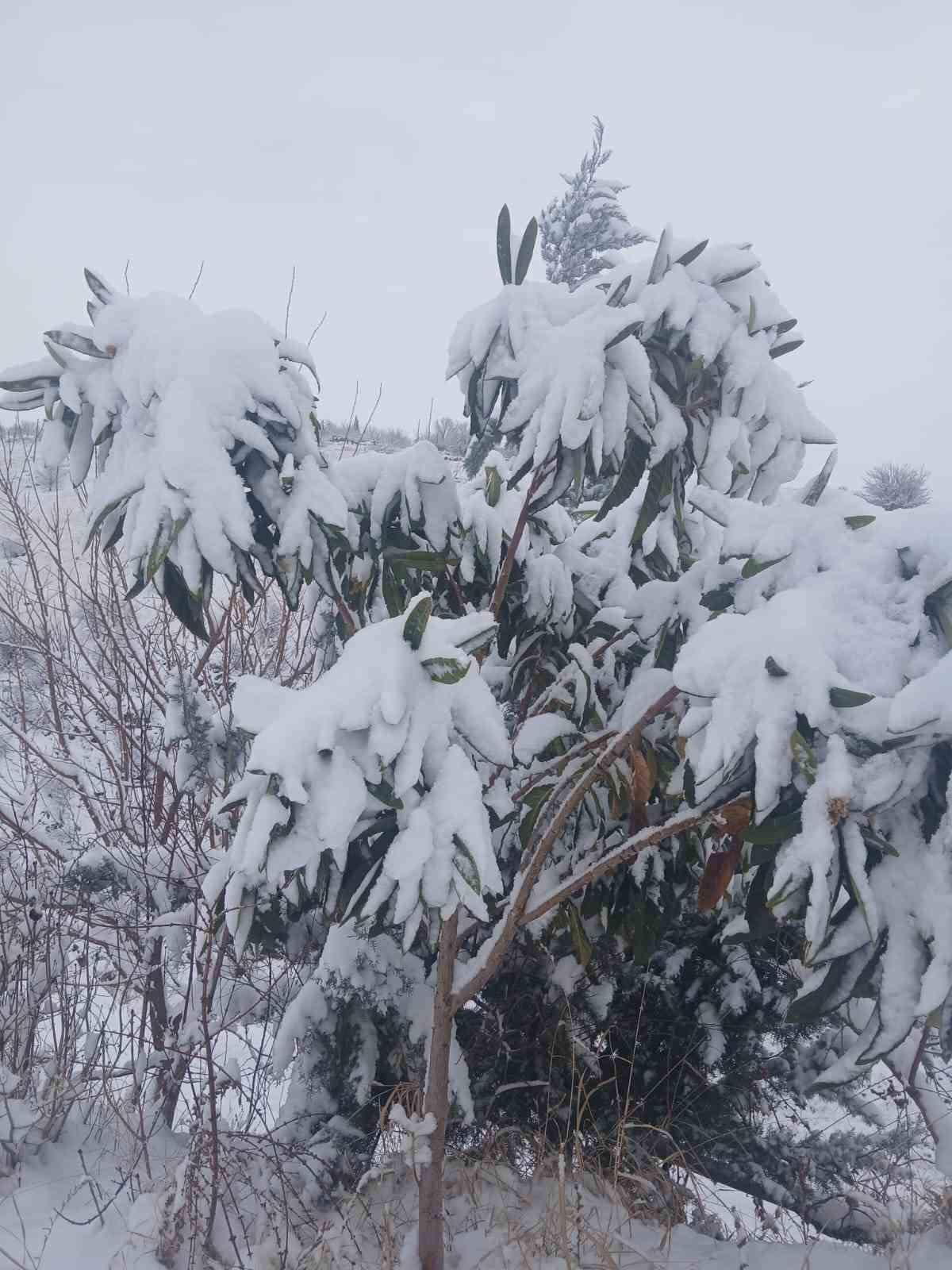 Pütürge’de kartpostallık görüntüler
