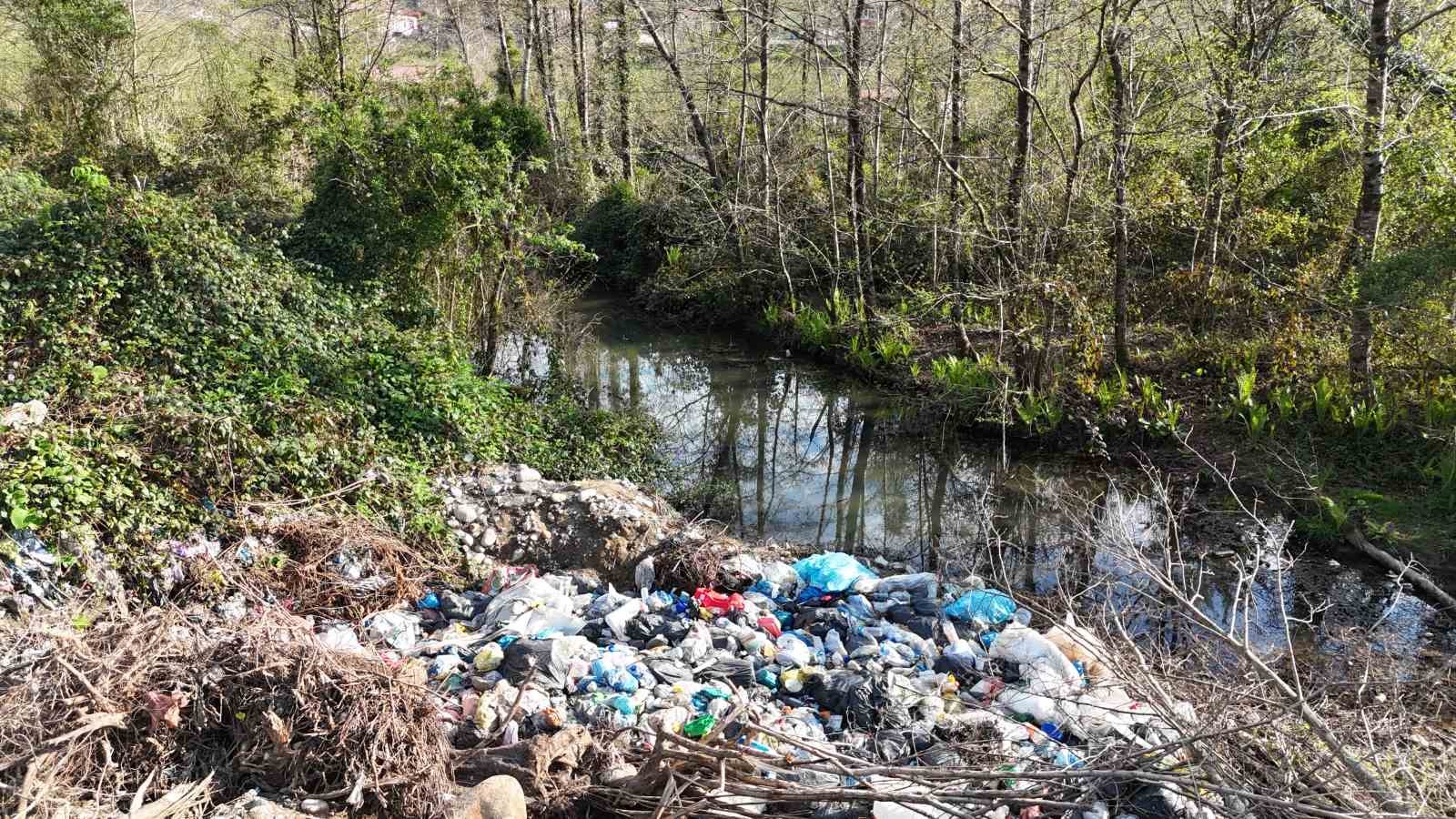 Rize’de vahşi çöp depolama sahası vatandaşları canından bezdirdi
