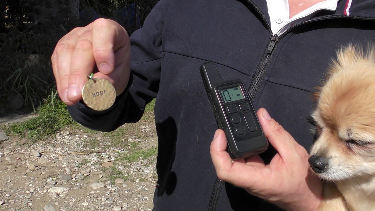 Rus sahipleri, kaybolan köpeklerini sokak sokak arıyor: Canlı bulana 100 bin, ölü bulana 10 bin ödül
Rus sahipleri, kaybolan köpeklerini sokak sokak arıyor: Canlı bulana 100 bin, ölü bulana 10 bin ödül