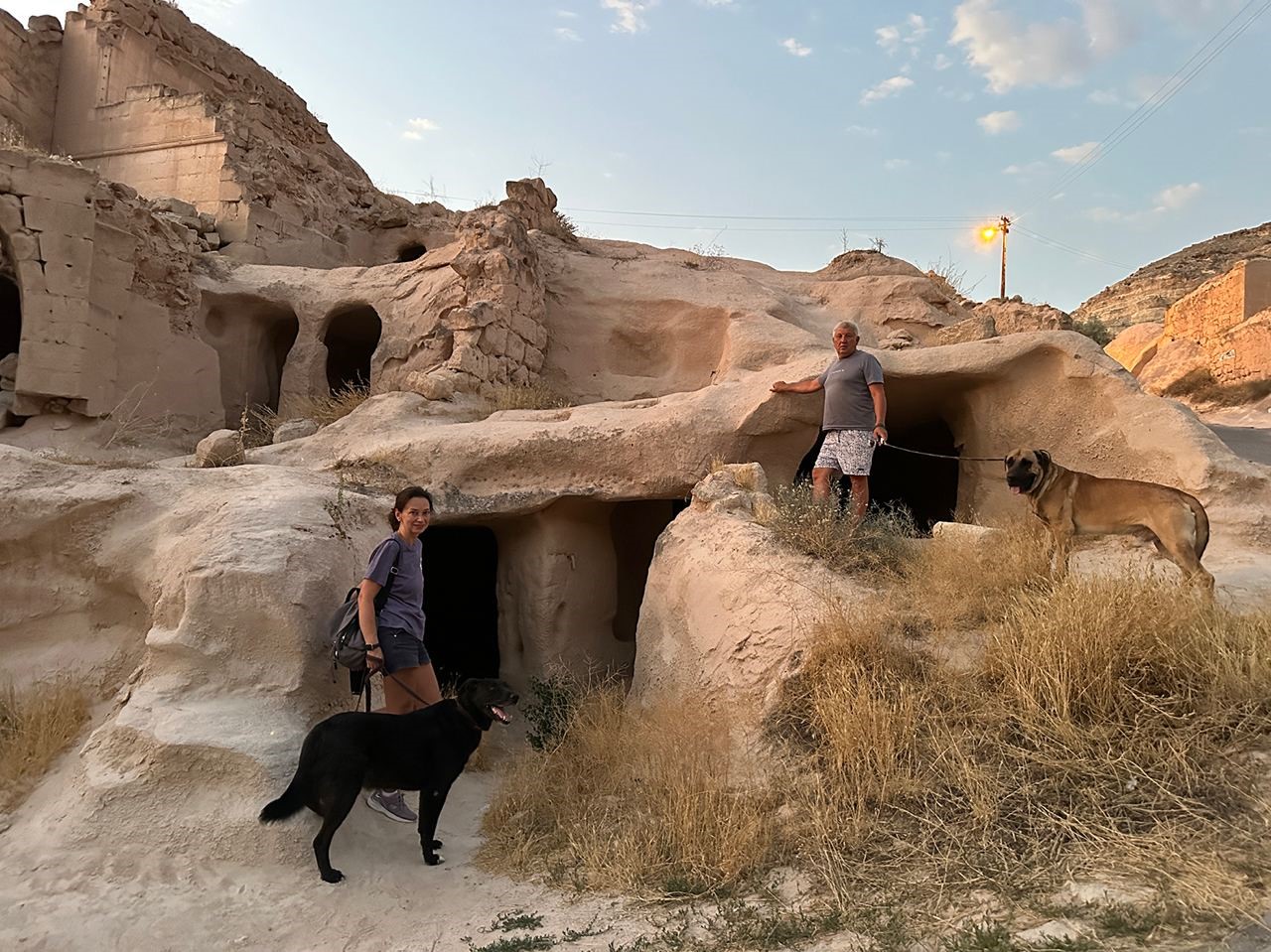 Rus sahipleri, kaybolan köpeklerini sokak sokak arıyor: Canlı bulana 100 bin, ölü bulana 10 bin ödül
Rus sahipleri, kaybolan köpeklerini sokak sokak arıyor: Canlı bulana 100 bin, ölü bulana 10 bin ödül