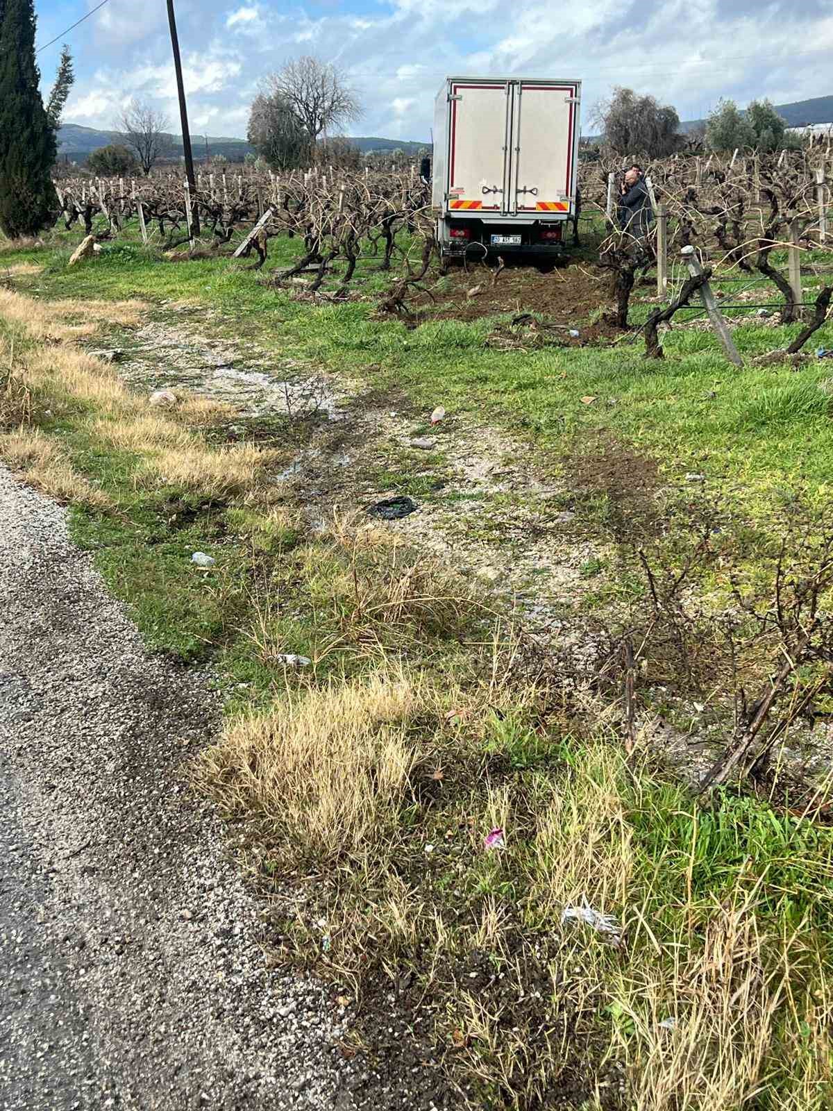 Sabıkalı yolda kamyon üzüm bağına girdi
