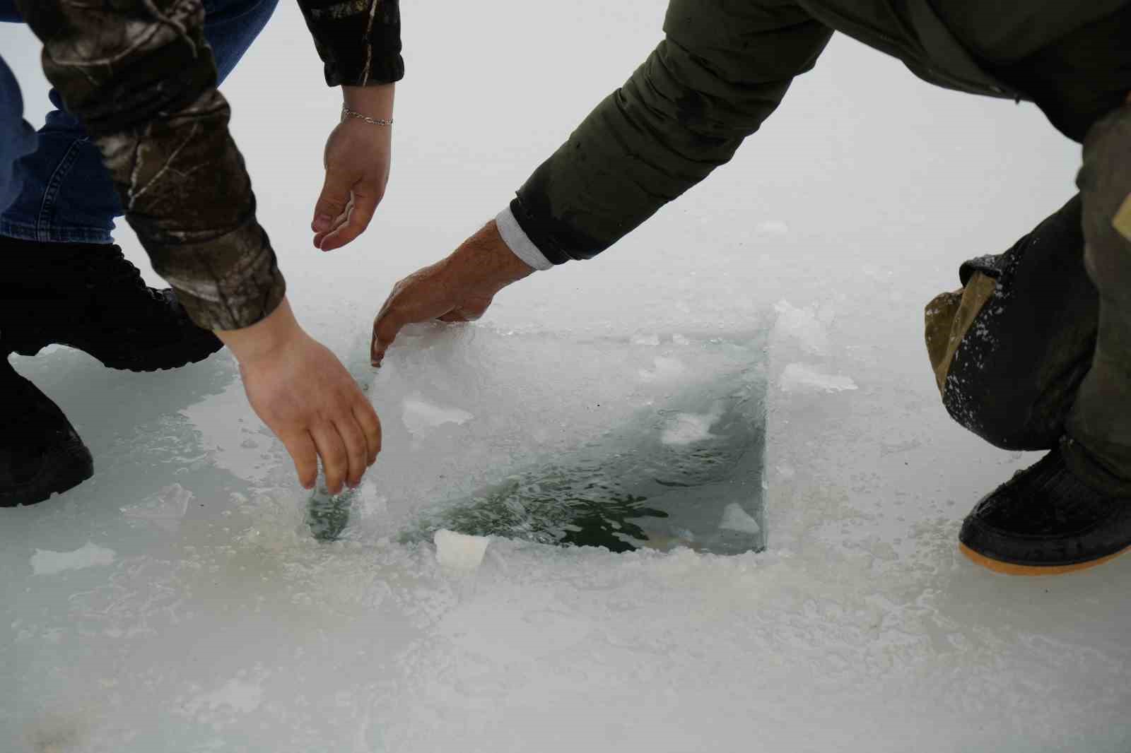 Sadak Baraj Gölü buz tuttu
