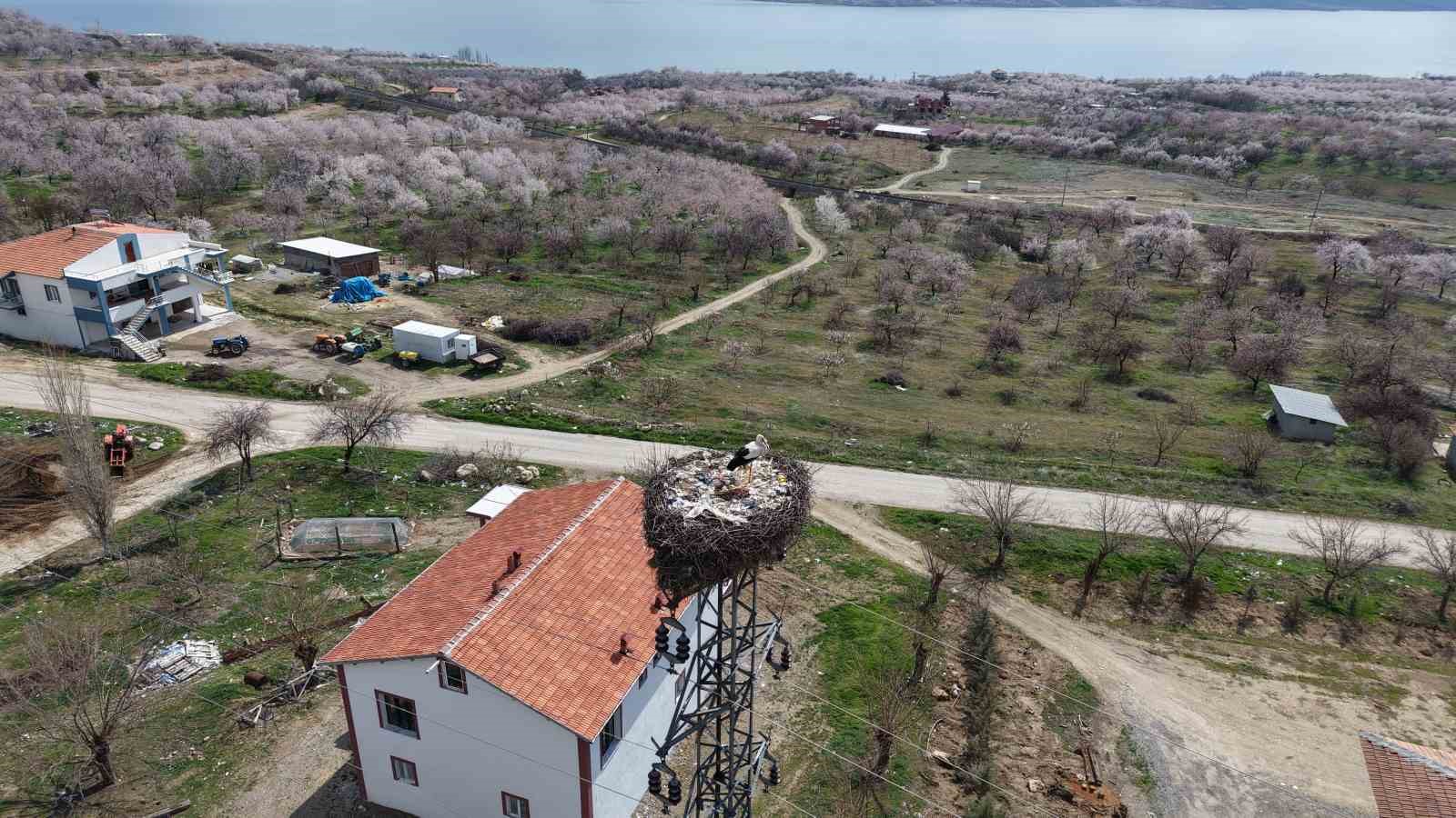 Sadık misafir leylek 10 yıldır yolunu şaşırmıyor
