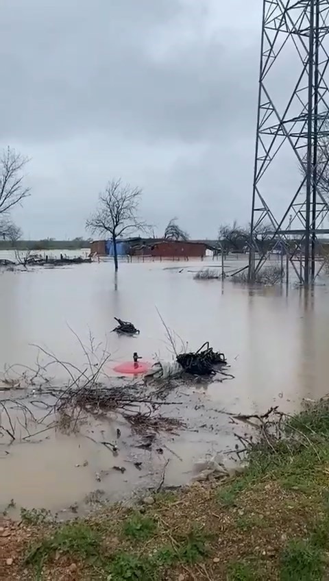 Sağanak Bursa’yı vurdu: Tarlalar göle döndü, hayvanlar mahsur kaldı
