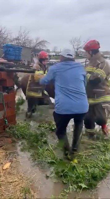 Sağanak Bursa’yı vurdu: Tarlalar göle döndü, hayvanlar mahsur kaldı
