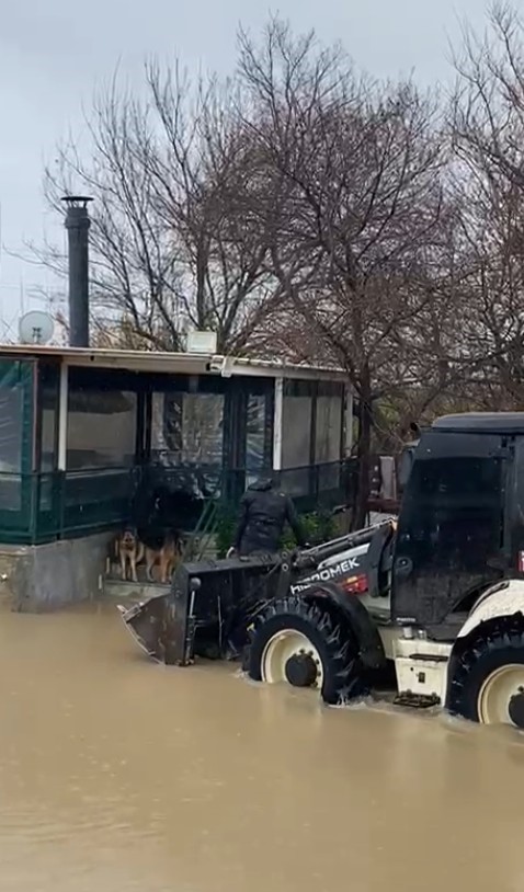 Sağanak sonrası evde mahsur kalan 4 köpek iş makinesiyle kurtarıldı
