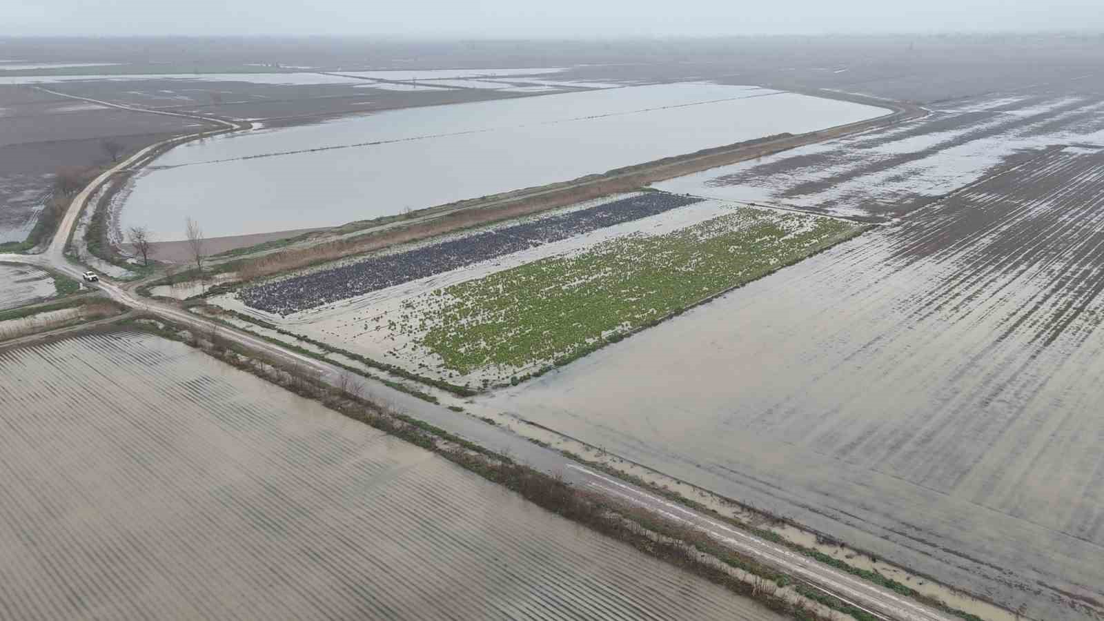 Sağanak yağmurdan sonra binlerce dönüm tarım arazisi sular altında kaldı
