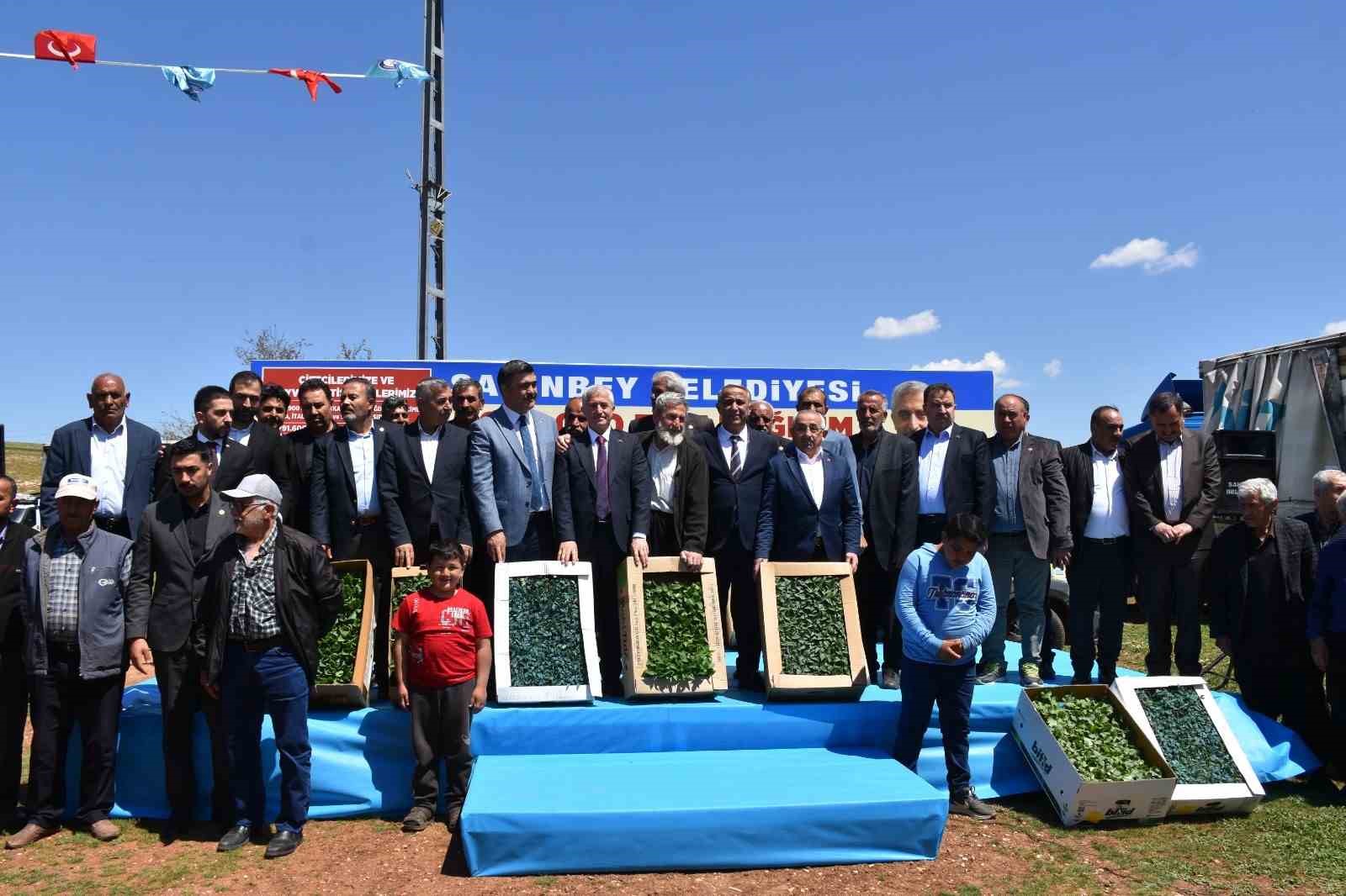 Şahinbeyli çiftçilere sertifikalı fide desteği
