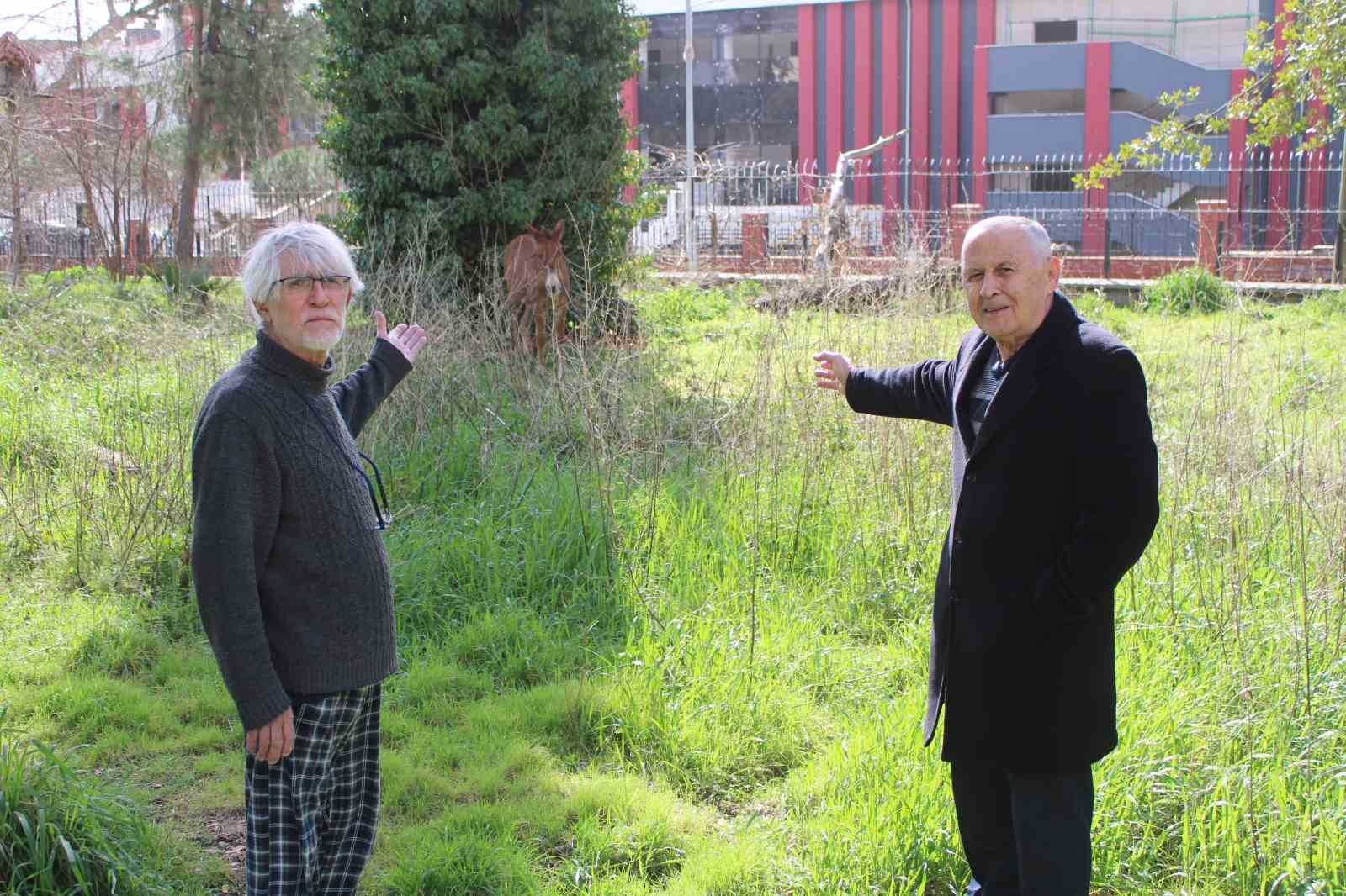 Sahipleri ölüme terk etti, resmi kurumlar topu birbirine attı
