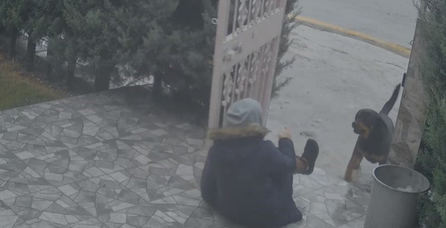 Sahipsiz köpeklerin saldırısına uğrayan kadını kurtaran Nurten Güven: "Biz olmasaydık kadının mücadelesi zor olacaktı"
