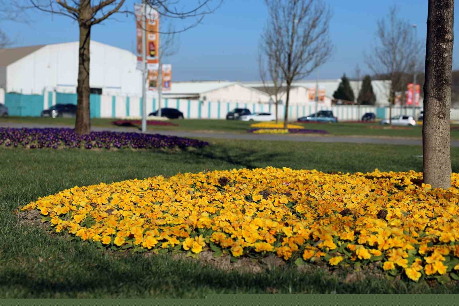 Sakarya’da caddeler, parklar ve camiler bayrama hazır hale geldi
