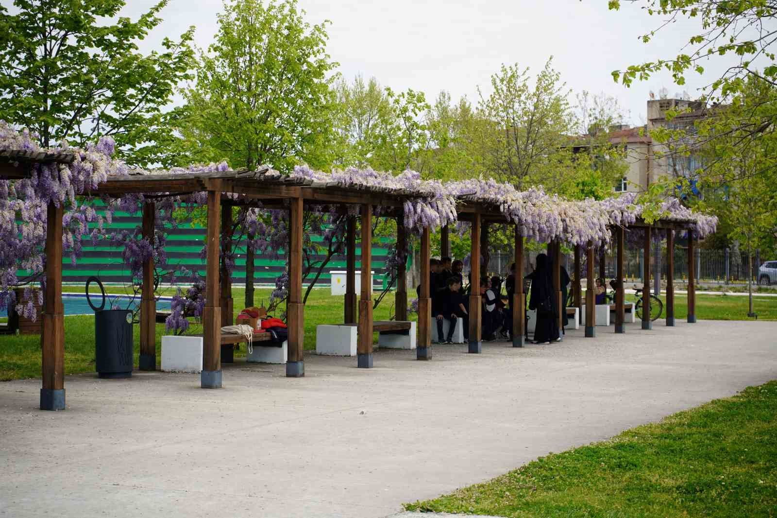 Sakarya’da güneşli havayı fırsat bilen vatandaşlar park ve caddelere akın etti
