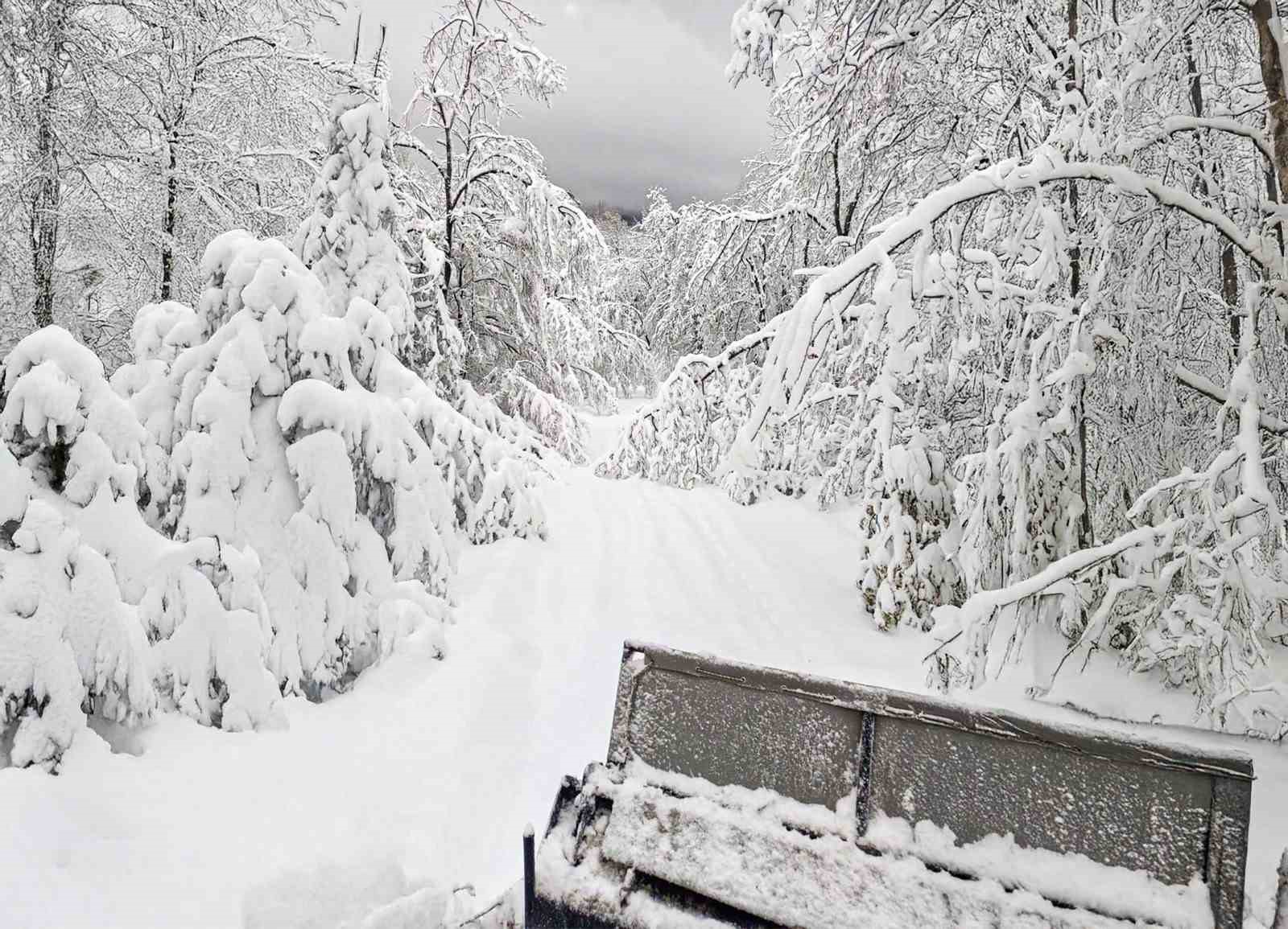 Sakarya’da kardan kapanan 35 grup yolunun 31’i ulaşıma açıldı
