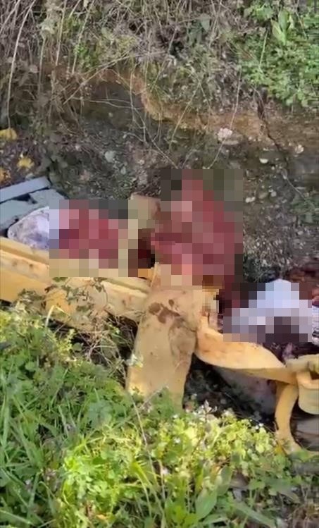 Sakarya’da otoyol kenarındaki kemikler jandarmayı at kasaplarına götürdü
