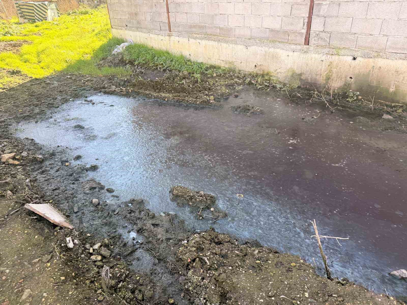 Sakarya’da tavuk çiftliğine biyogüvenlik kısıtlaması
