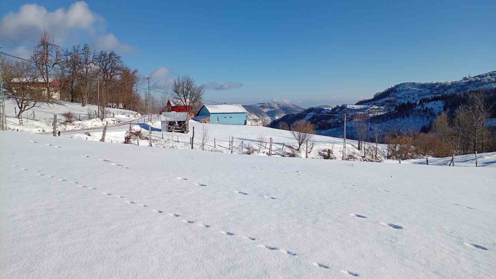 Sakarya’nın yüksek kesimleri yeniden karla buluştu
