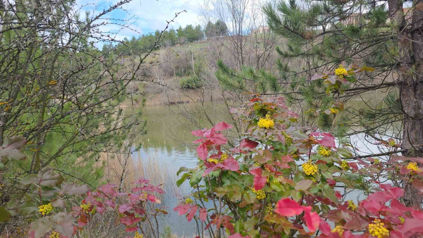 Saklıgöl, ilkbaharla birlikte ayrı bir güzelliğe büründü

