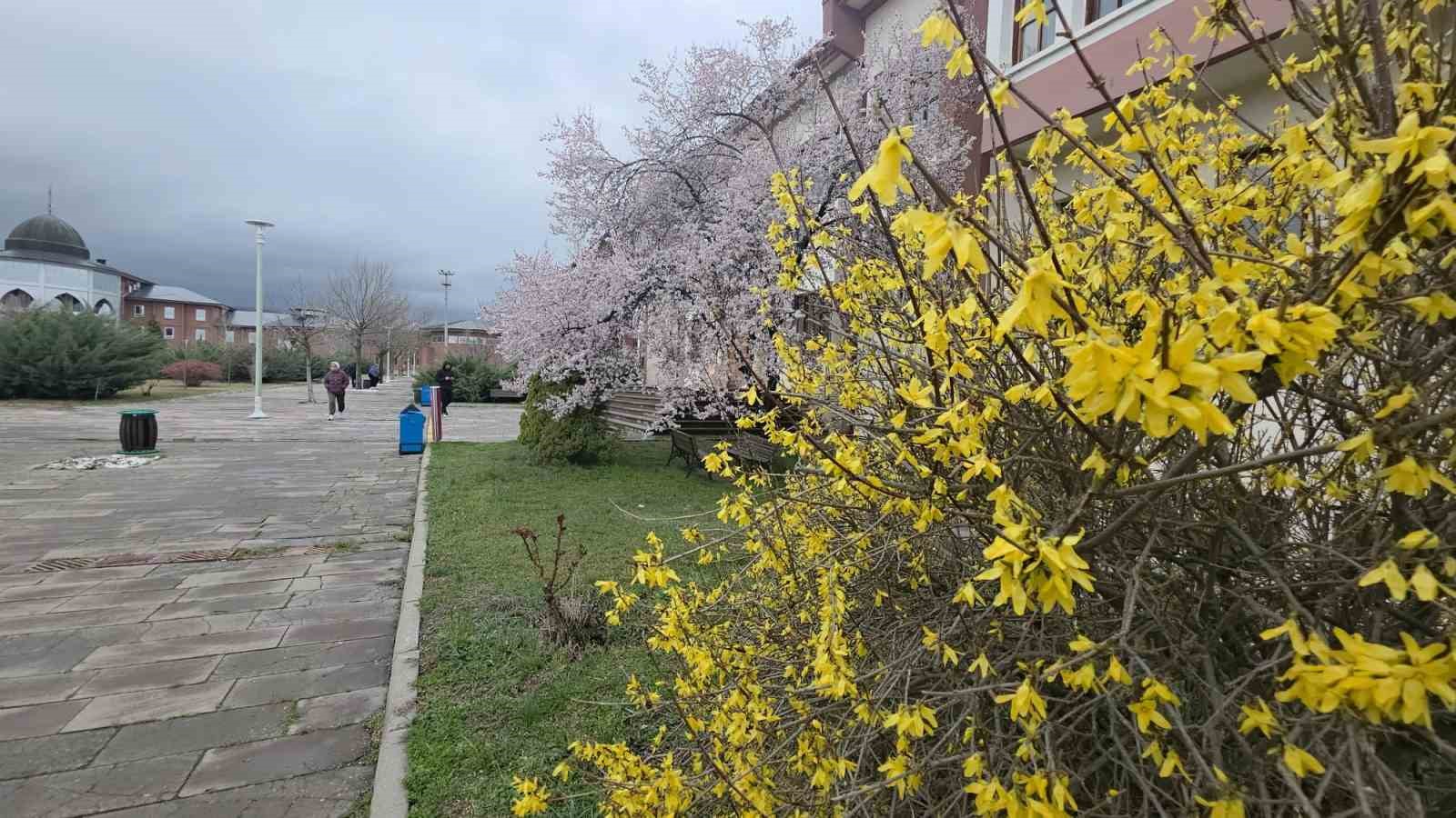 Saklıgöl, ilkbaharla birlikte ayrı bir güzelliğe büründü
