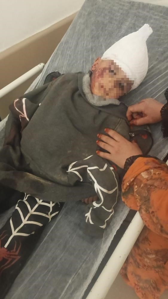 Saldırgan köpeğin resmî olmayan sahibi ortaya çıktı
Saldırgan köpeğin resmî olmayan sahibi ortaya çıktı