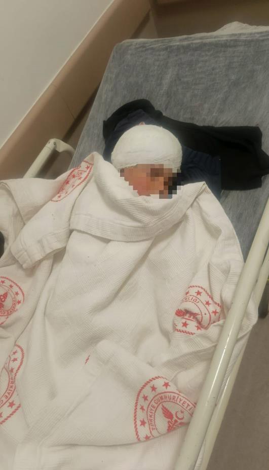 Saldırgan köpeğin resmî olmayan sahibi ortaya çıktı
Saldırgan köpeğin resmî olmayan sahibi ortaya çıktı