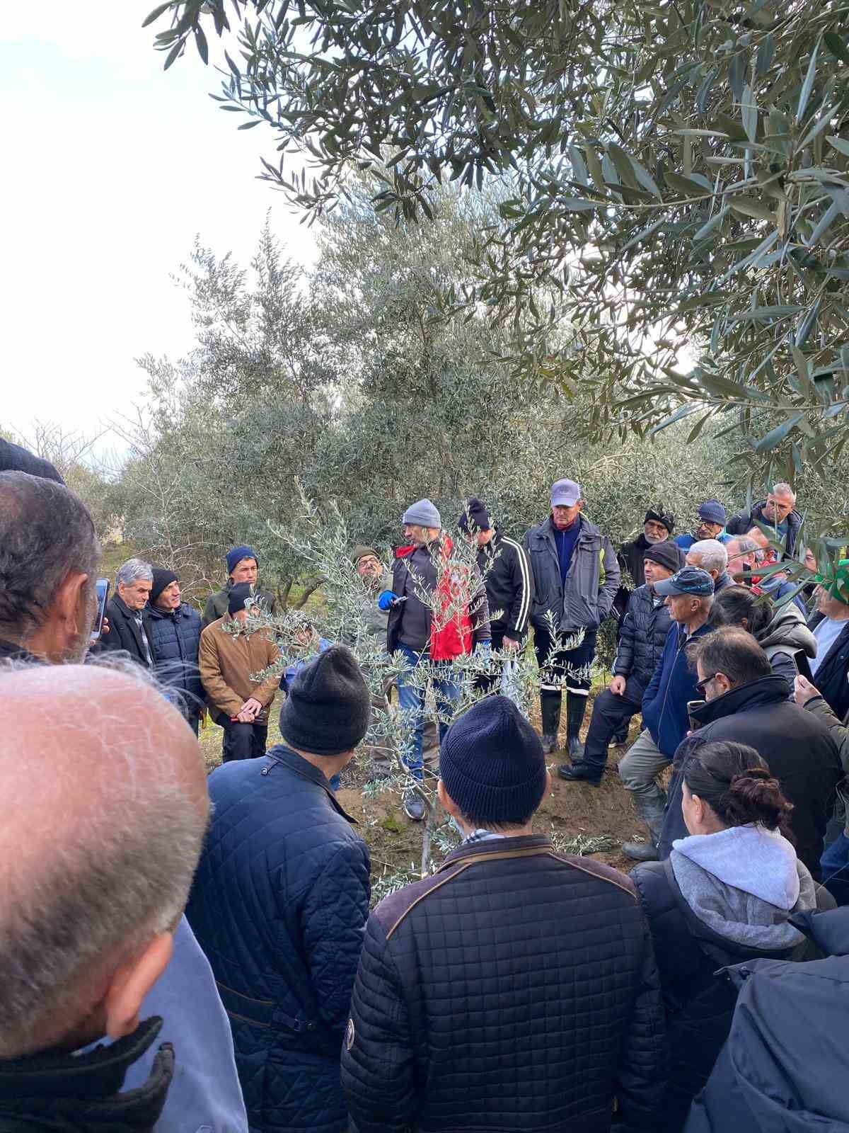 Salihli’de üreticilere ücretsiz budama kursuna yoğun ilgi
